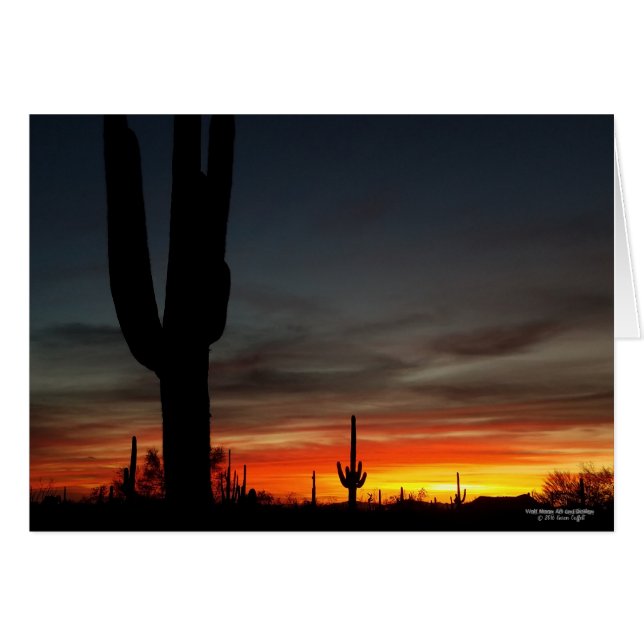 Sonoran Desert sunset Arizona with saguaro cactus (Front Horizontal)