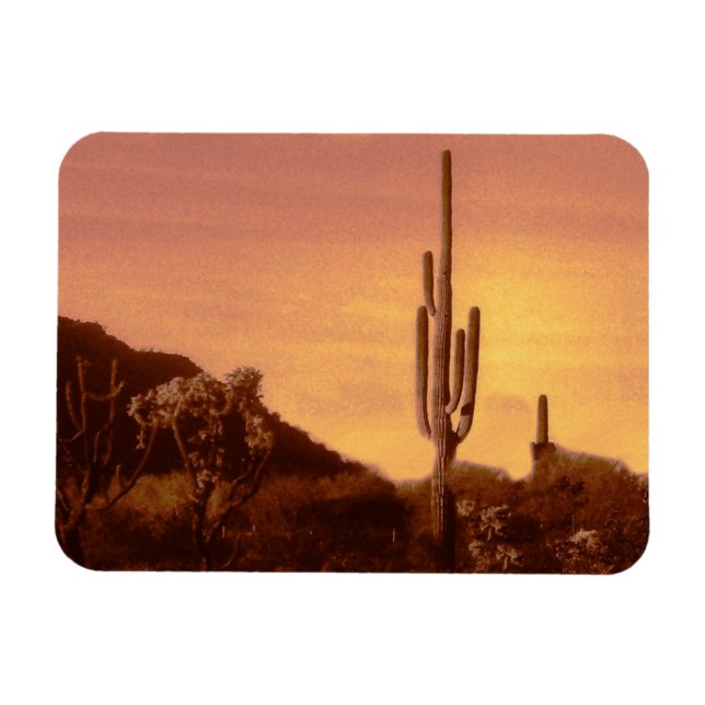 Sonoran desert sunset magnet (Horizontal)
