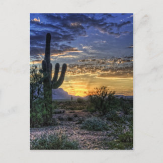 Sonoran Sunrise Postcard