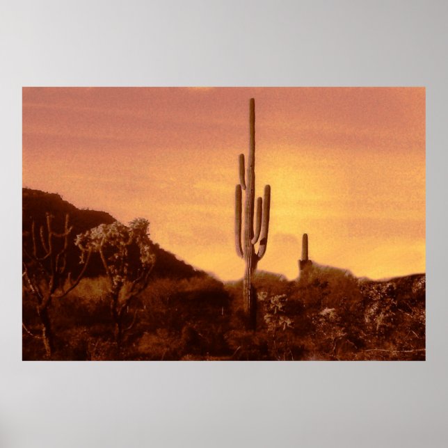 sonoran sunset  print (Front)