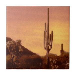 Sonoran sunset tile