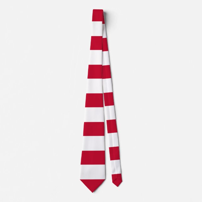 Sons of Liberty flag Tie (Front)