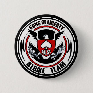 Sons Of Liberty Strike Pin