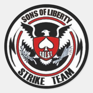 Sons Of Liberty Strike Team Classic Round Sticker