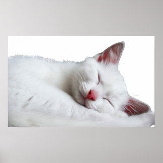 sooooooooooooooo sleepy poster