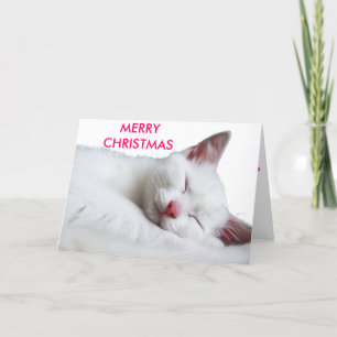 sooooooooooooooooooooo sleepy, MERRYCHRISTMAS Holiday Card