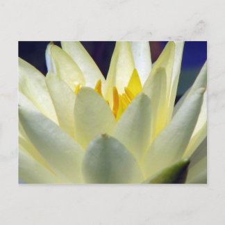 Soothe Me Postcard