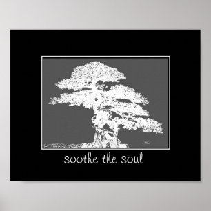 soothe the soul bonsai tree poster quotation