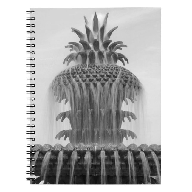 Soothing Pineapple Notebook (Front)