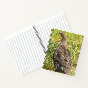 Sooty Grouse Wildlife Photo Notebook