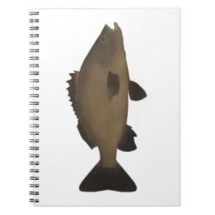 Sooty Grunter Notebook