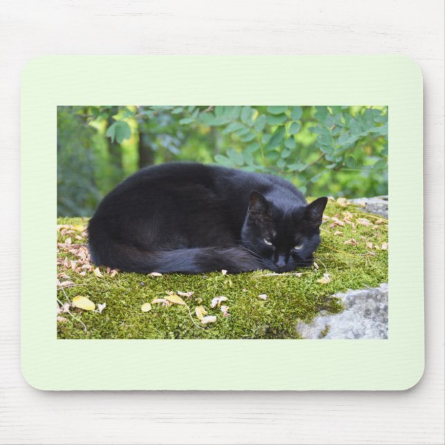 Sooty Mouse Mat (Front)