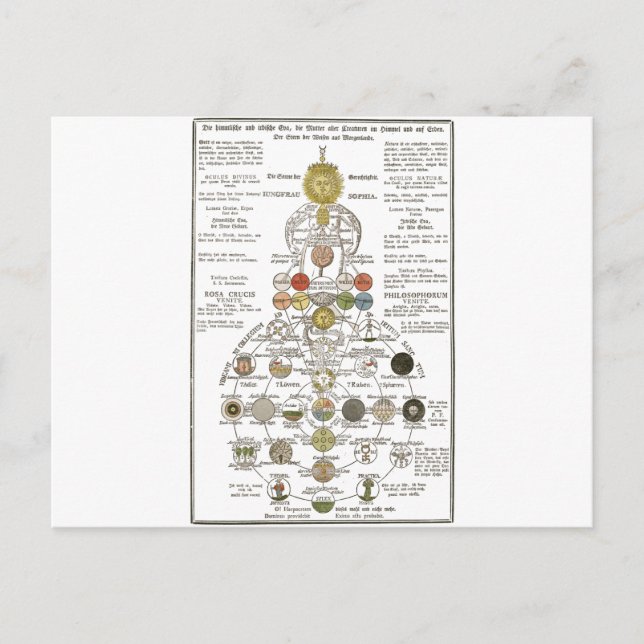 Sophia - to transform the spirit postcard (Front)