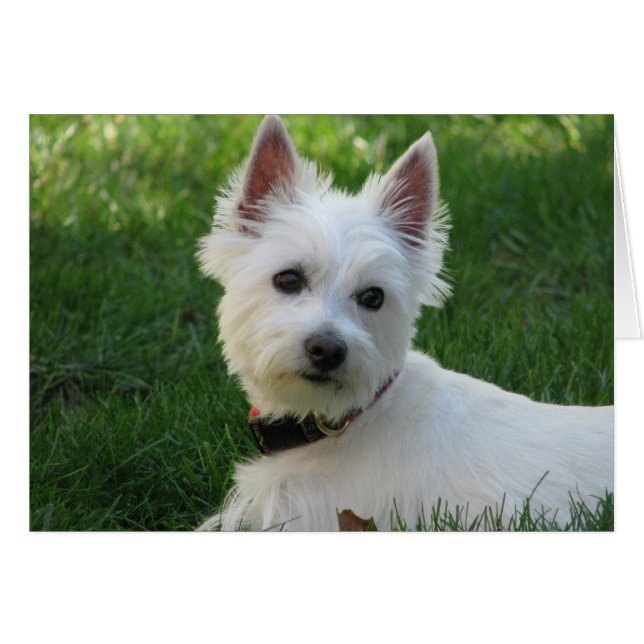 Sophie (Front Horizontal)