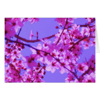 Sophie Card Template