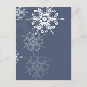 Sophisticated blue/grey snowflakes postcard