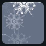 Sophisticated blue/grey snowflakes square sticker<br><div class="desc">Sophisticated and classy,  blue-ish grey snowflakes.</div>