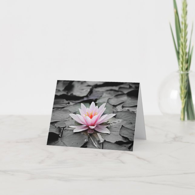 Sophisticated Lily  Thank You Card (Front)
