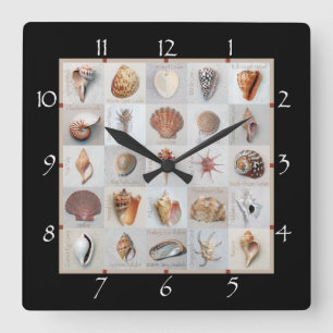 Sophisticated Shells Square Wall Clock