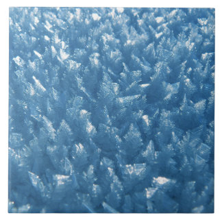 Sophisticated Style: Elegance Ceramic Tile Collect