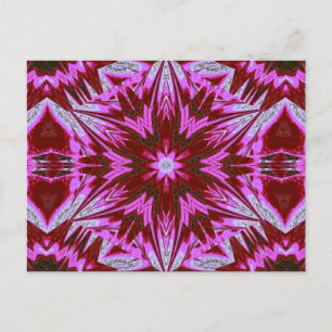 SOPHORNITELLA 48 POSTCARD