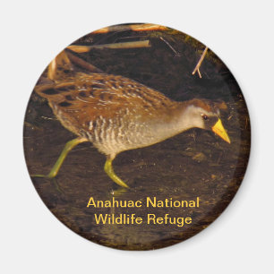 Sora Magnet