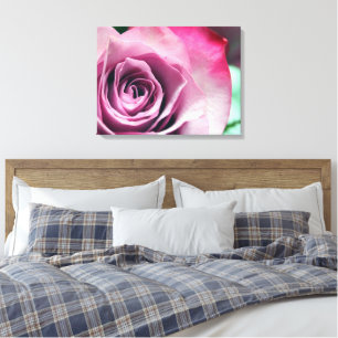 Sorbet Stretched Canvas Print