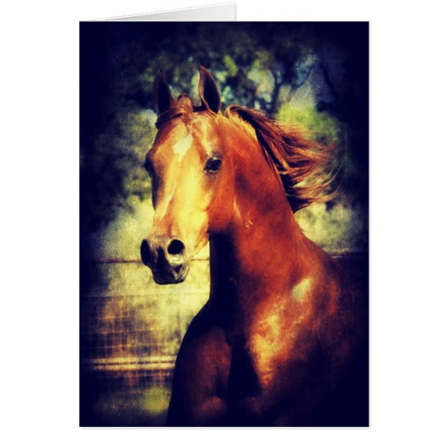 Sorrel Arabian (Front)