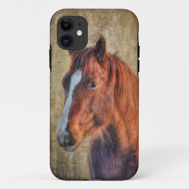 Sorrel Horse Portrait on Rustic Grunge-effect Case-Mate iPhone Case (Back)