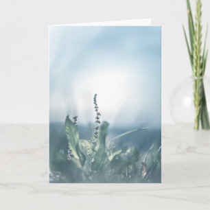Sorrel Photo Card