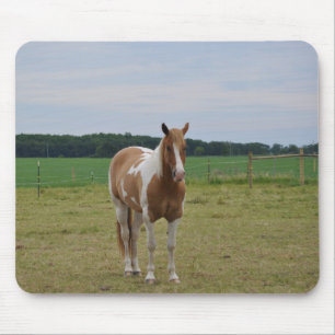 Sorrel Tobiano Paint Horse Mouse Mat