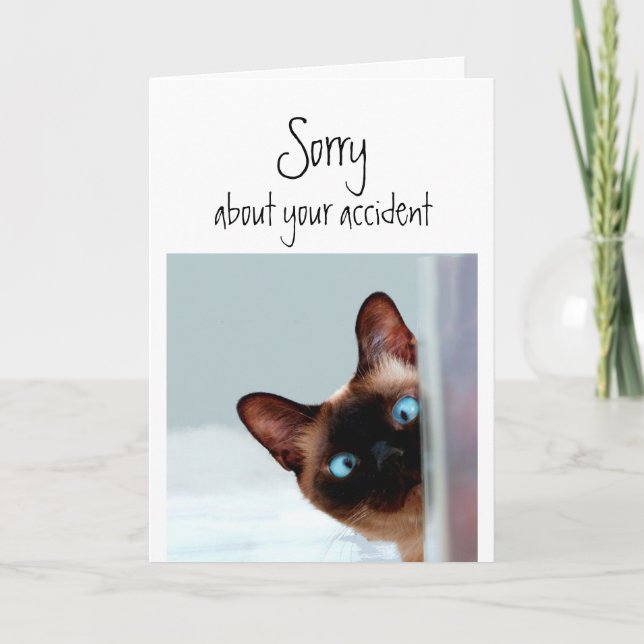 Sorry about Accident Flowers Fun Siamese Cat Pet Card (Front)