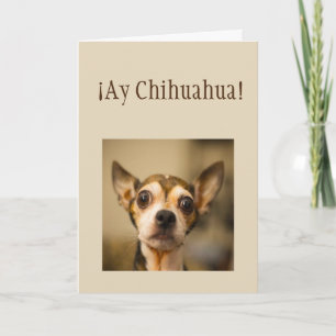 Sorry  ¡Ay Chihuahua! Fun Chihuahua Dog Card