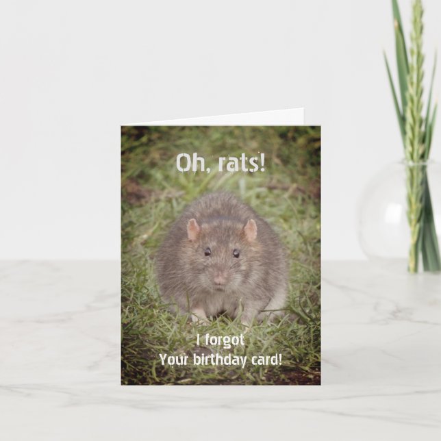 Sorry belated missed birthday - rats card (Front)