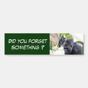 Sorry!_ Bumper Sticker
