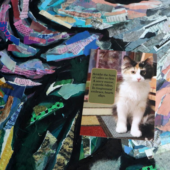 Sorry Calico Kitten Postcard (Creator Uploaded)