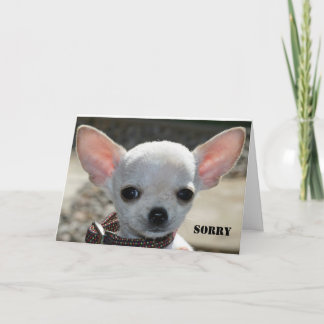 SORRY CARD