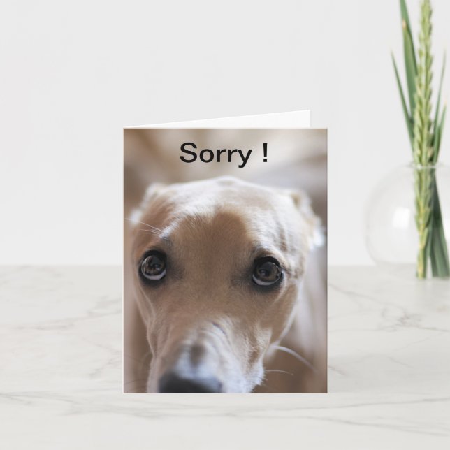 Sorry! Card (Front)