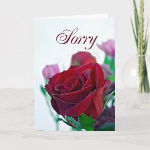Sorry card with a red rose