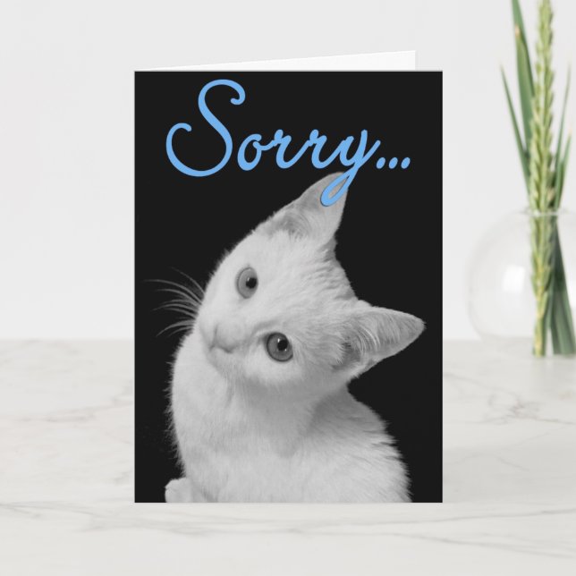 Sorry Cute Turkish Van Kitten Black & White Photo Card (Front)
