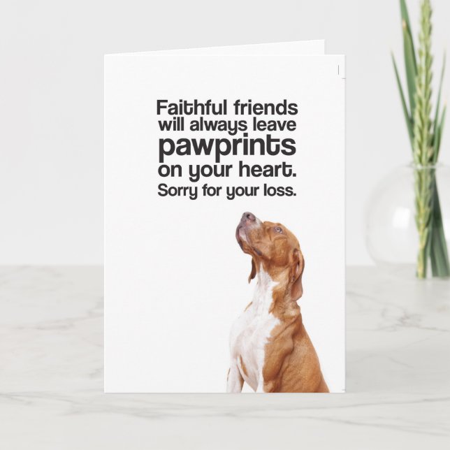 Sorry For Your Loss (Pointer) - Greeting Card (Front)