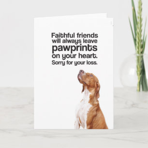 Sorry For Your Loss (Pointer) - Greeting Card