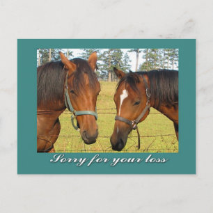 Sorry For Your Loss, Sympathy Two Sad Horses Postcard