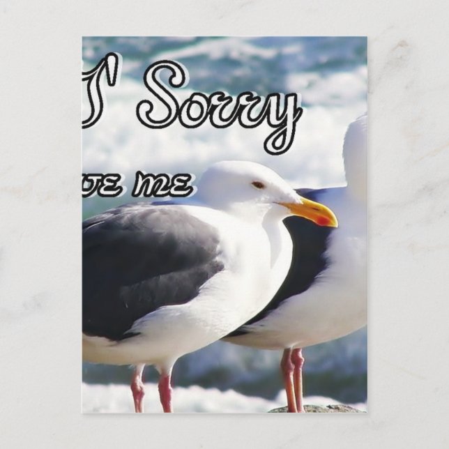Sorry,Forgive Me_ Postcard (Front)