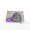 Sorry Guinea Pig Card Gerbera Daisy