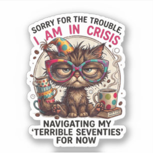 Sorry I Am in Crisis Funny 70th Birthday Quote