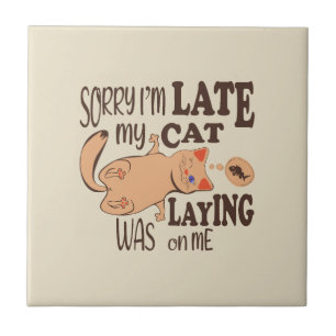Sorry I am late my cat was laying on me Tile