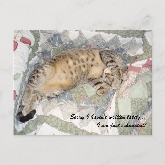 Sorry I haven't written lately... Postcard (Front)