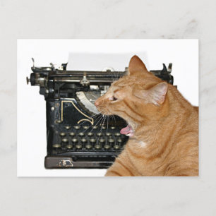 Sorry I haven't written Postcard