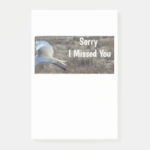 Sorry I Missed You Post-it Notes